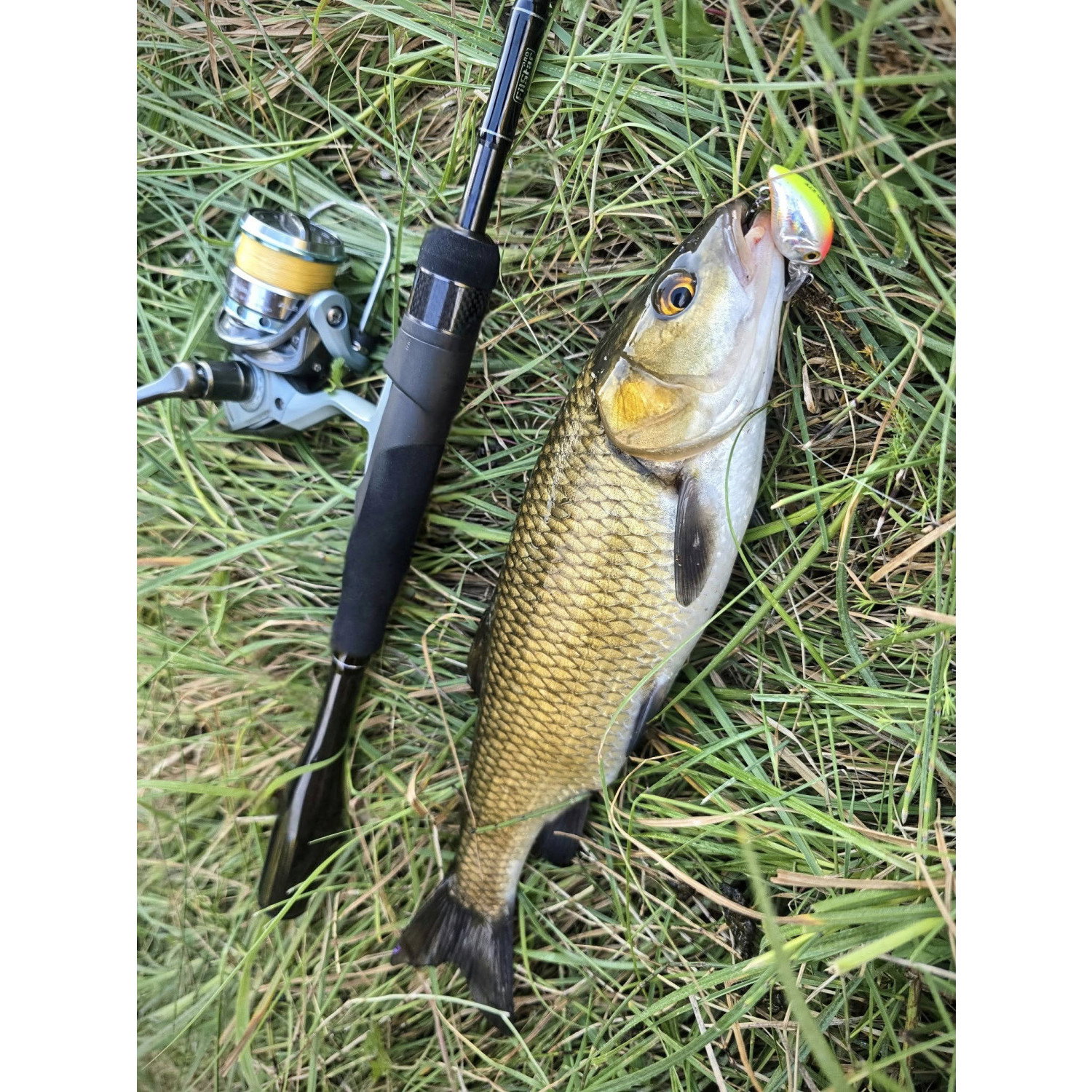 Въдица Filstar 365 Chub Връх/Tip за 960892
