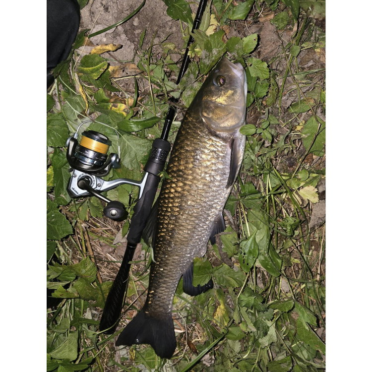Въдица Filstar 365 Chub Връх/Tip за 960892