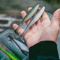 Силикон Rapala Crushcity The Kickman 963119