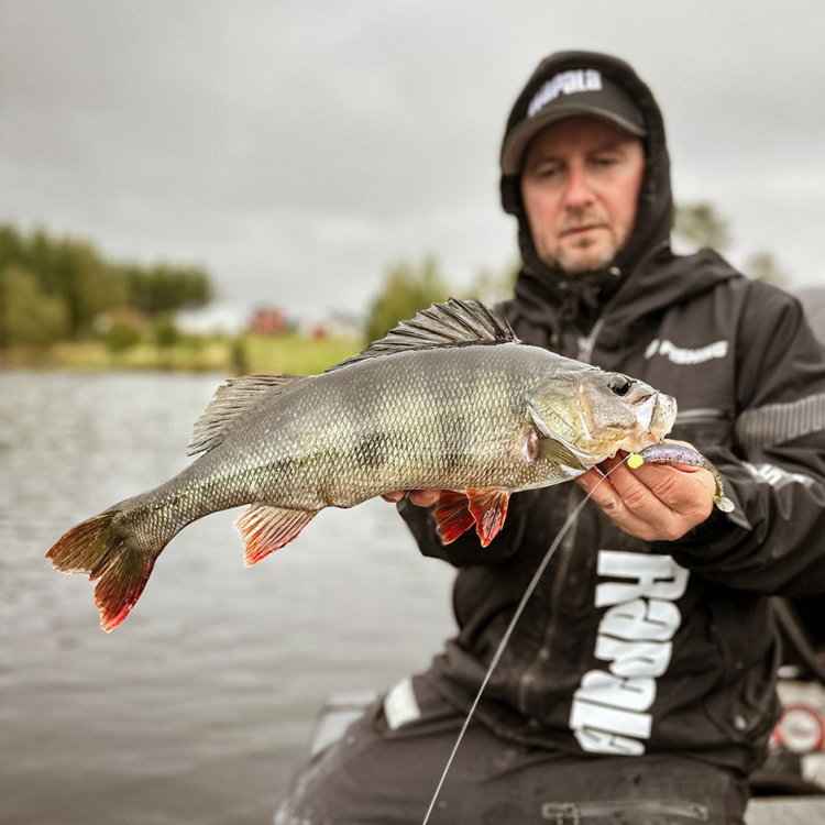 Силикон Rapala Crushcity The Kickman 963119