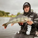 Силикон Rapala Crushcity The Kickman 963119