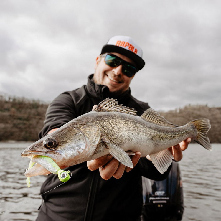 Силикон Rapala Crushcity The Kickman 963119