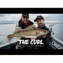 Силикон Rapala Crushcity The Curl 963105