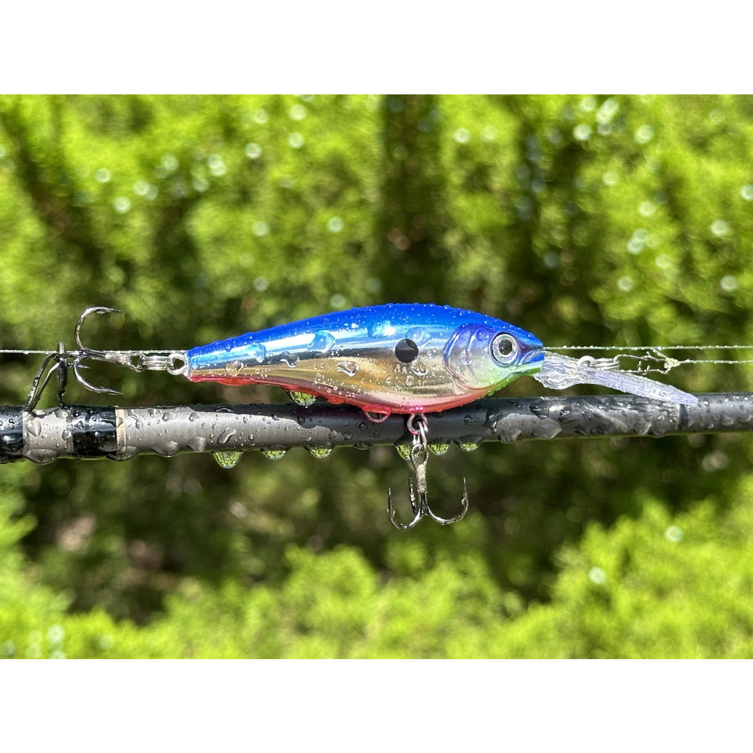 Воблер Rapala Harvest Shad HVSD05 FT