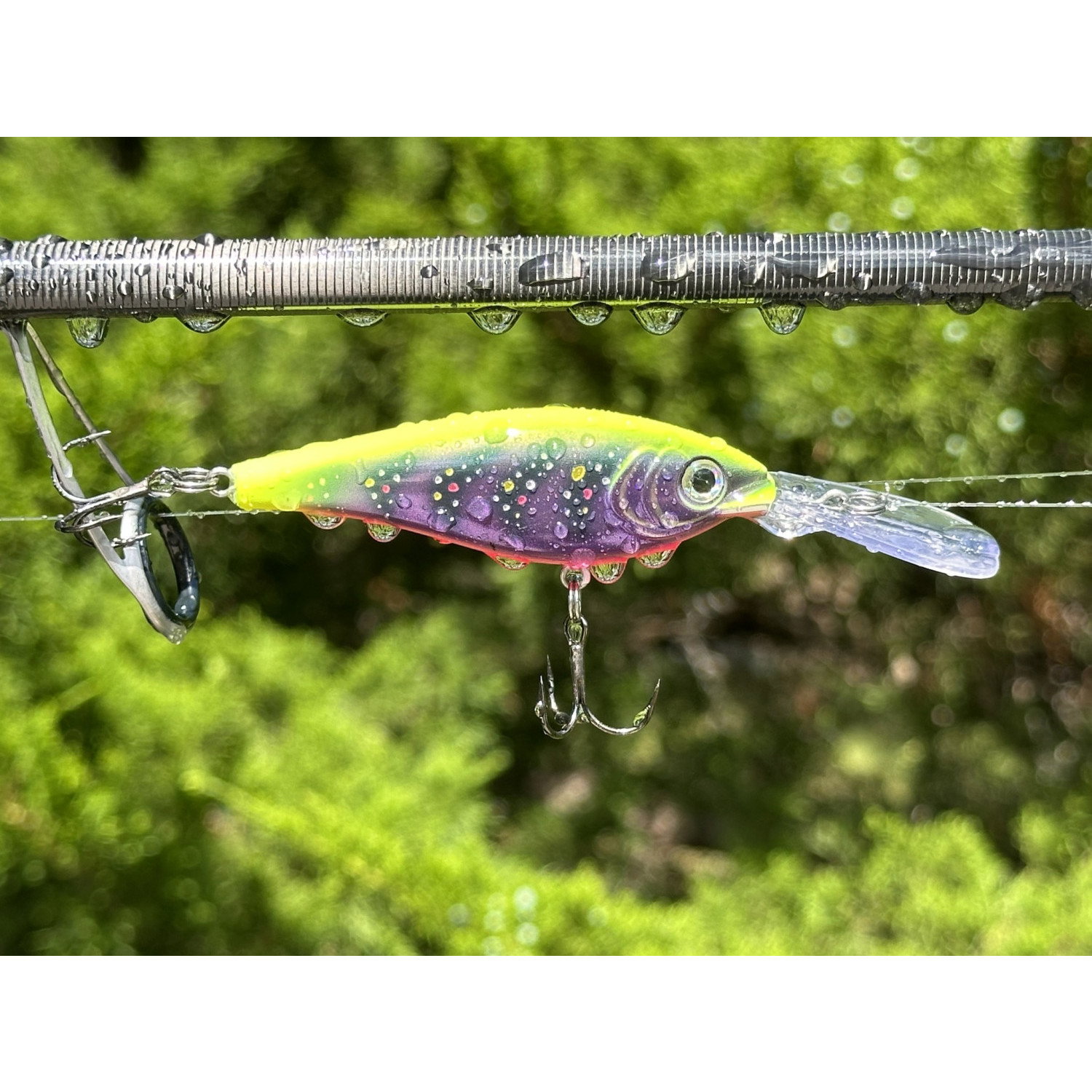 Воблер Rapala Harvest Shad HVSD05 FT