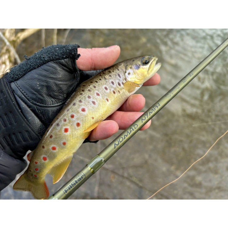 Въдица FilStar Nomad Fly Nymph 960931
