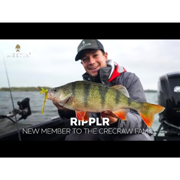 Силикон Westin CreCraw Ripplr Creaturebait P269-562-291