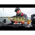 Силикон Westin CreCraw Ripplr Creaturebait P269-562-291