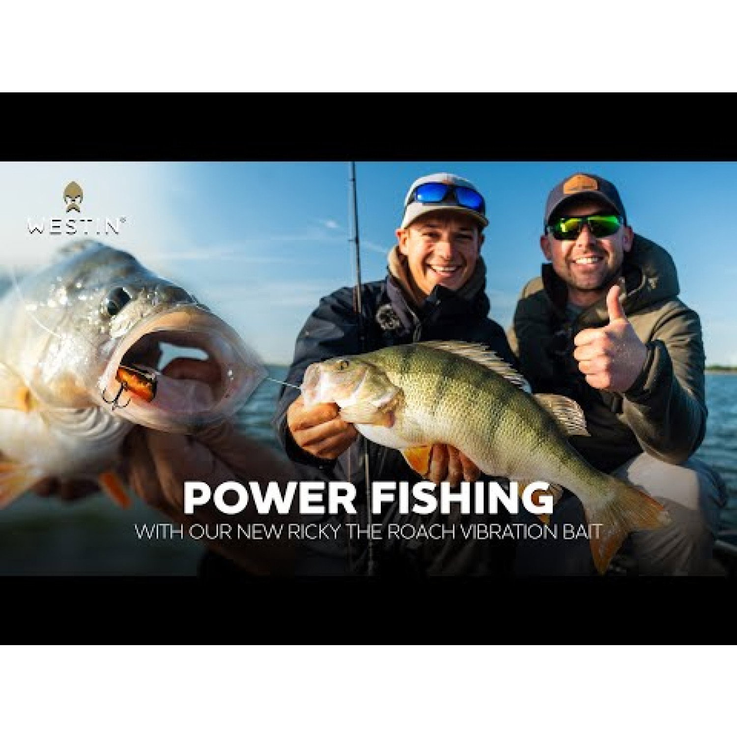 Волфрамовa цикада Westin Ricky The Roach Tungsten Vibration Bait P255-869-257