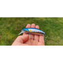 Воблер Sea Buzz The Catcher 963045