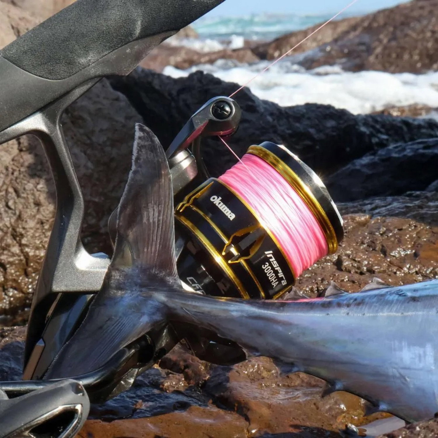 Макара Okuma Inspira ISX-4000A