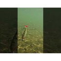 Силикон SeaBuzz Turbo Shad 962972