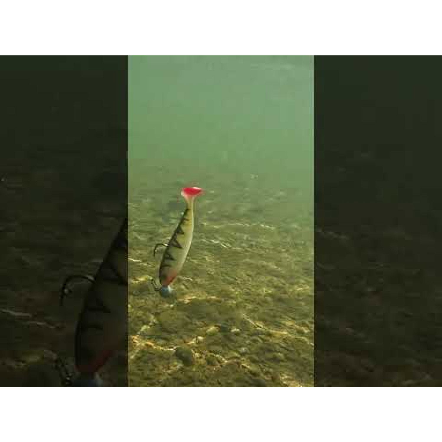 Силикон SeaBuzz Turbo Shad 962972