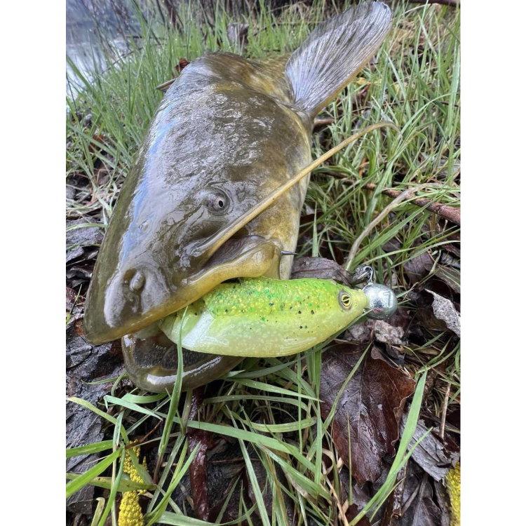 Силикон SeaBuzz Turbo Shad 962972