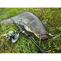 Силикон SeaBuzz Turbo Shad 962972