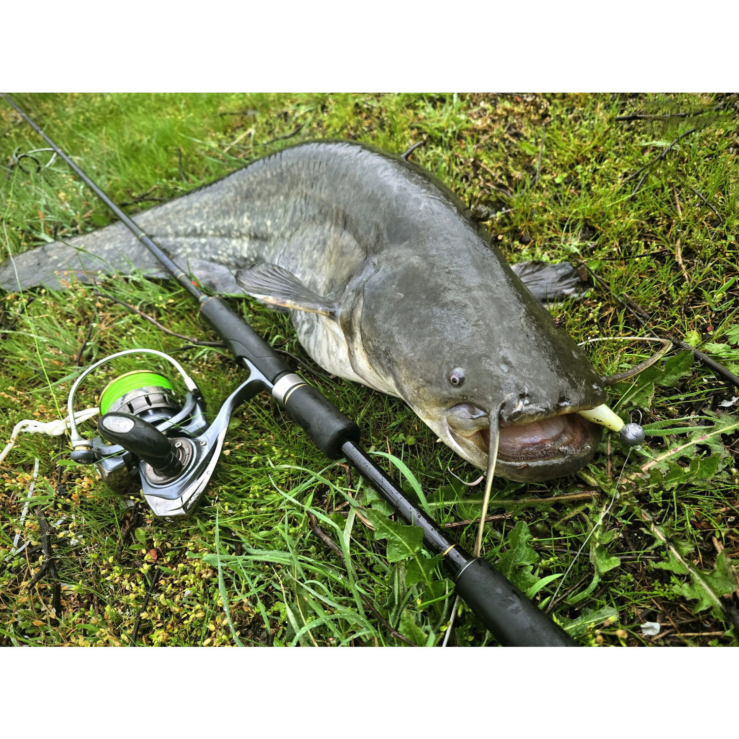 Силикон SeaBuzz Turbo Shad 962972