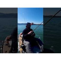 Силикон Storm Biscay Minnow BSCM12-22BM
