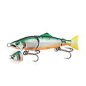 #07 TS Orange Belly/Half Gill Cover