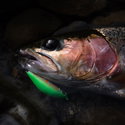 Воблер Shimano ZN-245X Cardif Refrai ZN-245X - 11785