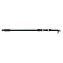 Шаранска въдица FilStar Target Tele Carp 922792