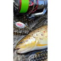 Въдица Filstar 365 Trout Spin Evo 49UL EVO