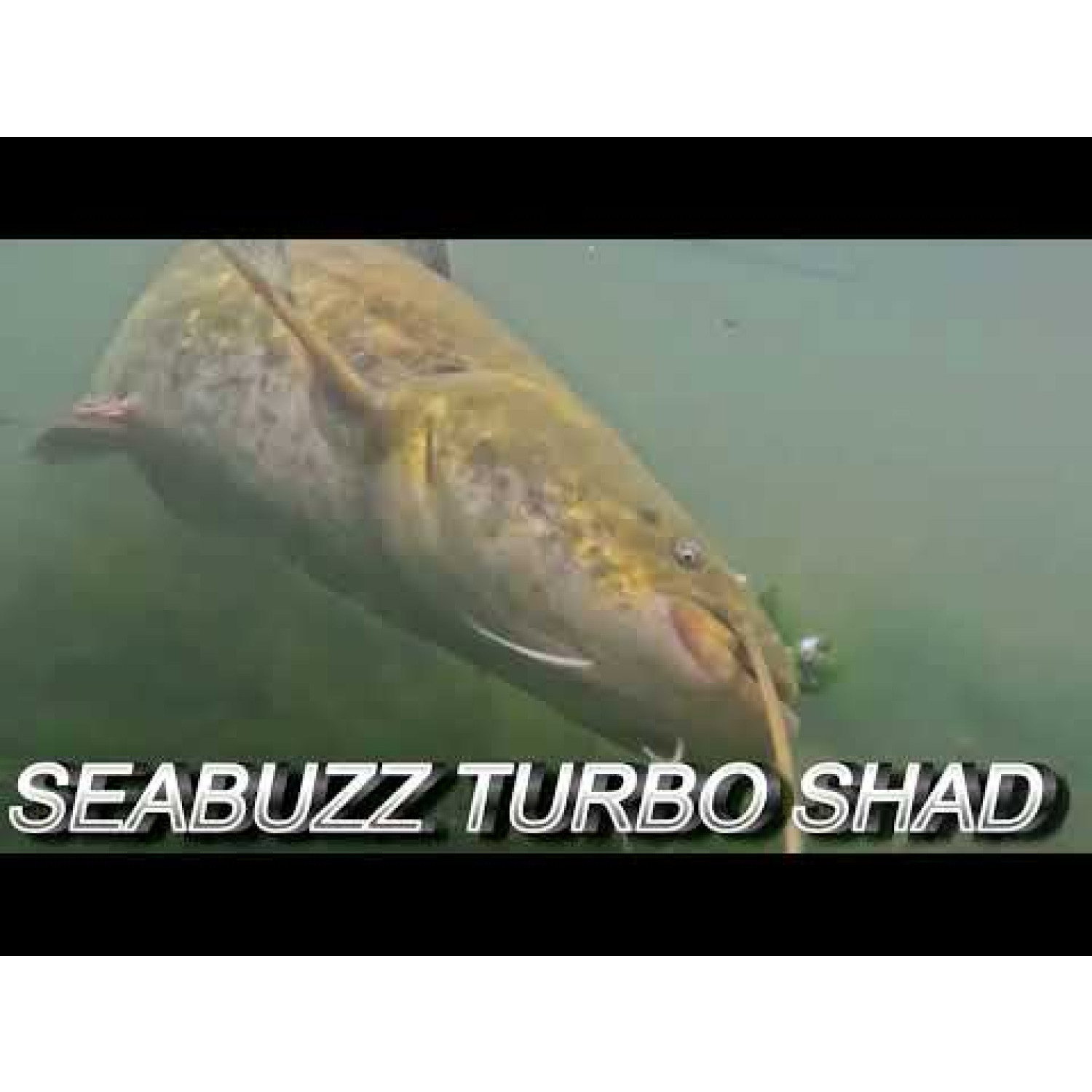 Силикон SeaBuzz Turbo Shad 962957