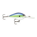 Hot Blue Shad