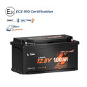 12V 100Ah H190 Deep Cycle LiFePO4 батерия с Bluetooth