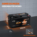 12V 100Ah H190 Deep Cycle LiFePO4 батерия с Bluetooth