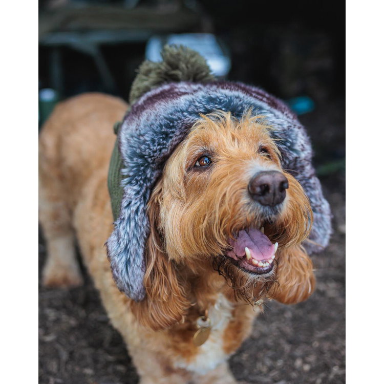 Шапка Fox Trapper Hat CHH052