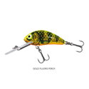 Gold Fluo Perch