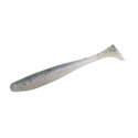 901 - Rainbow Trout