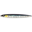 Coastal Baitfish