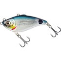 Saddled Bream