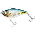 Sardine