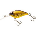 Gold Shad