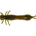 UV Moss