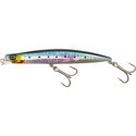 Sardine
