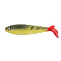 Red Tail Shad