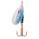 Rainbow Trout